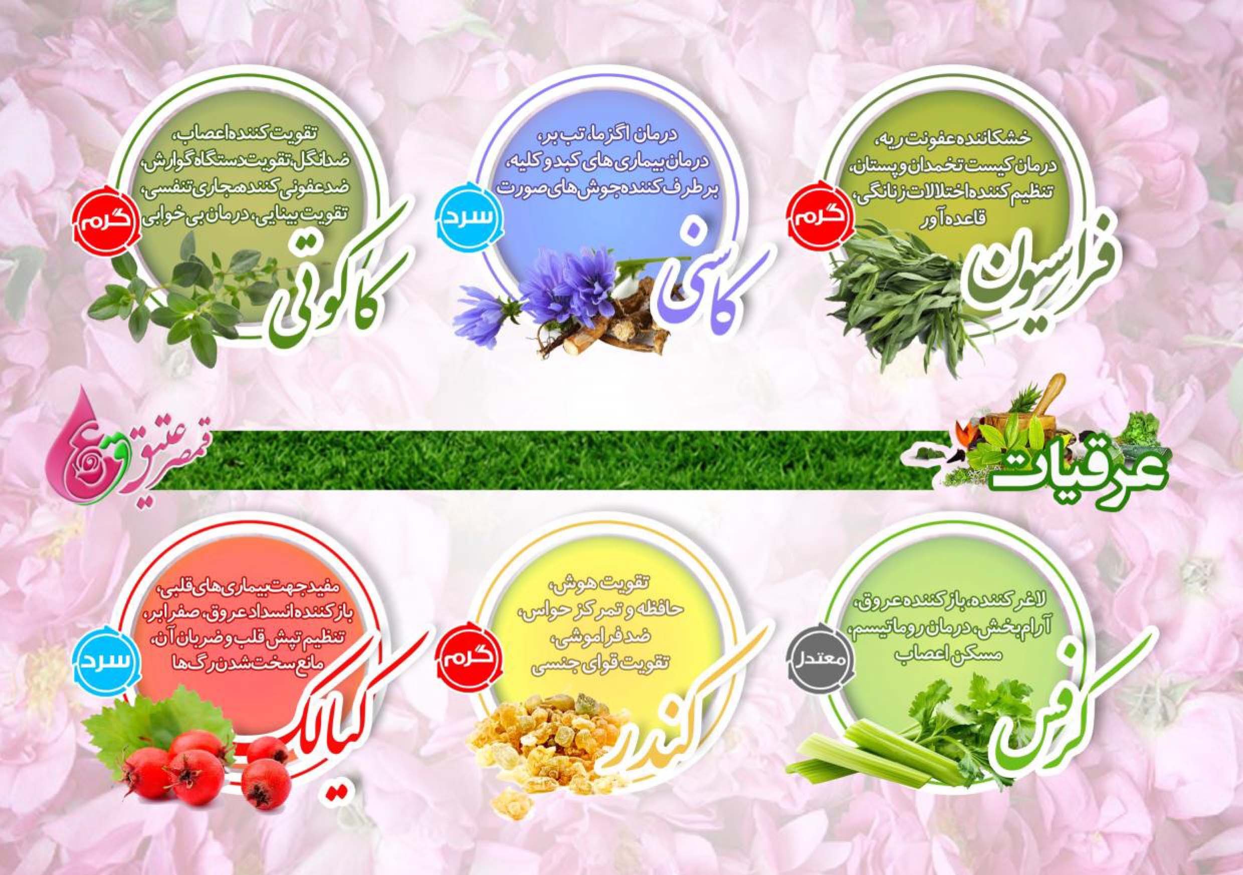 خرید گلاب قمصر کاشان